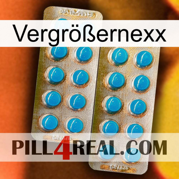 Vergrößernexx new08.jpg